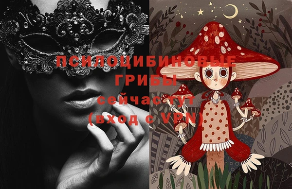 спайс Абаза