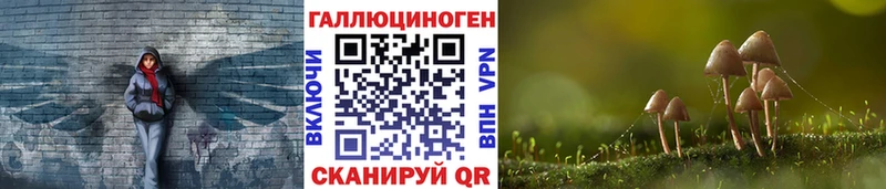 Псилоцибиновые грибы Psilocybine cubensis  Лангепас 